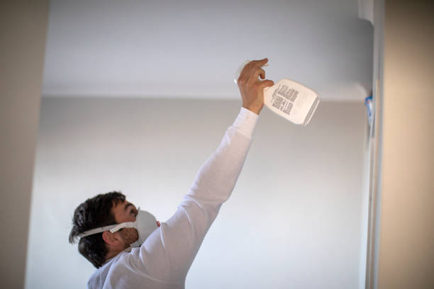 Best Local Mold Removal Service  in Discovery Harbour, HI