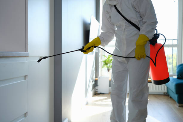 Best Certified Mold Removal  in Discovery Harbour, HI