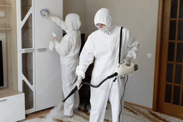 Best Residential Mold Removal  in Discovery Harbour, HI